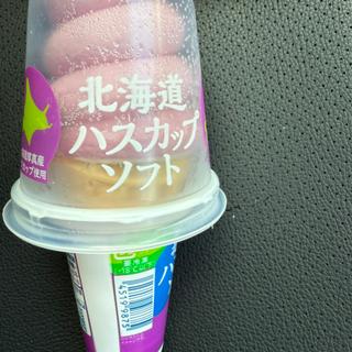 北海道ハスカップソフト