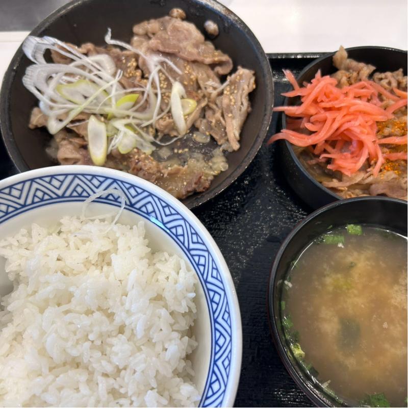 牛皿・ねぎ塩カルビ定食(吉野家 １７号線宮原店)