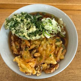 かき揚げうどん　春菊天