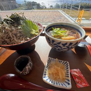 釜揚げしらす丼(南紀道の駅すさみ)