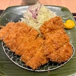 ひれロース盛合せ御飯