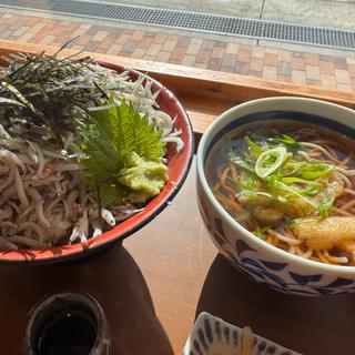 釜揚げしらす丼