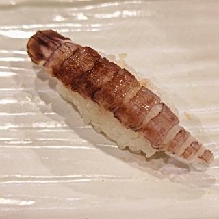 しゃこ(まんぼう)