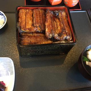 うなぎ特重