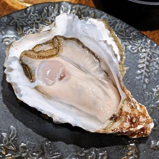本日の生牡蠣(厚岸)(jin-bay)