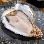 本日の生牡蠣(厚岸)(jin-bay)