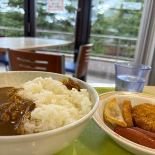 カレーライスL(ピーチカフェテリア （ピーチユニオン　カフェテリア）)