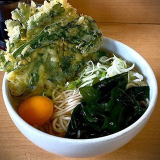 みそかつ丼セット 春菊天 玉子(松のや 菊名店)