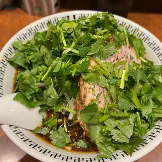 スパイス・ダブルパクチーラーメン(スパイスラー麺卍力 秋葉原店)