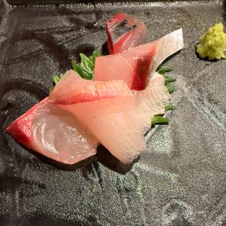 おまかせコース(かっぱ寿し )