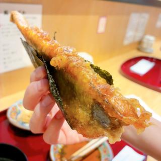 秋刀魚（おまかせ）(柳がわ 2号店 )