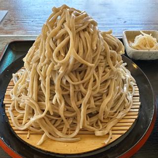冷やしたぬき 大盛(そば・うどん かどや)