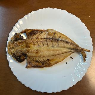 アジ干物（持ち帰り）(ゆのや 干物店)
