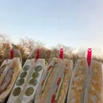 えびかつ(サンドーレ いとしま)