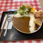 下久保ダムカレー