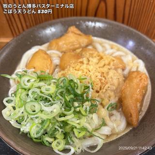 ごぼう天うどん