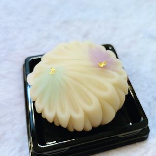 雪の華(㈲菓匠丸文)