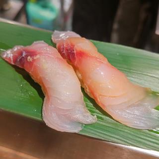 ヒメダイ(野毛 かど平)