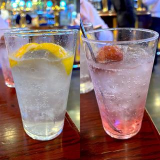 ドライHUBレモン&HUBバイスサワー