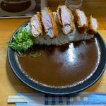 手仕込みヒレのカツカレー(spice32 大阪駅前第1ビル店)