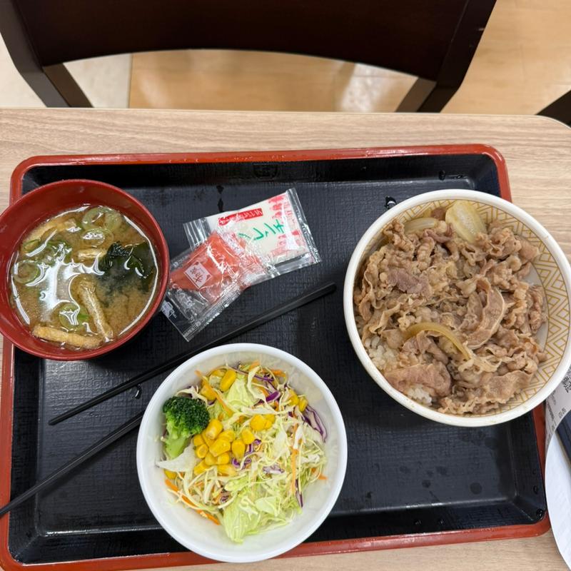 牛丼ランチセット(すき家 イオン東雲店)