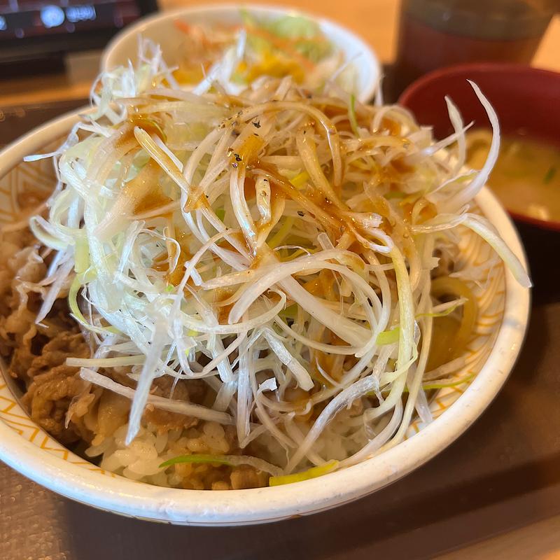 白髪ねぎ牛丼（大盛）(すき家 四条堀川店 )