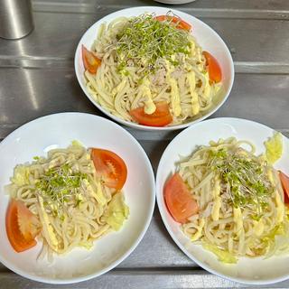 冷しゃぶサラダうどん(ベルクス 東墨田店)