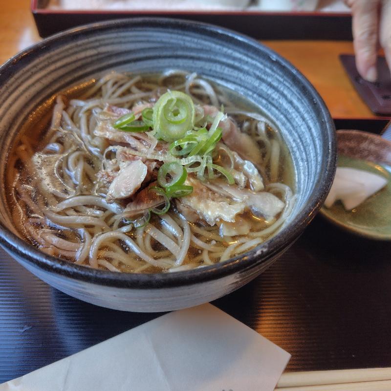 冷たい肉そば(手打ちそば 野の花庵)