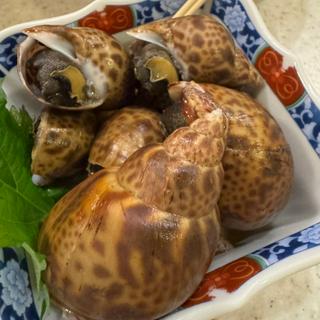 白子産茹でばい貝