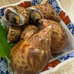白子産茹でばい貝