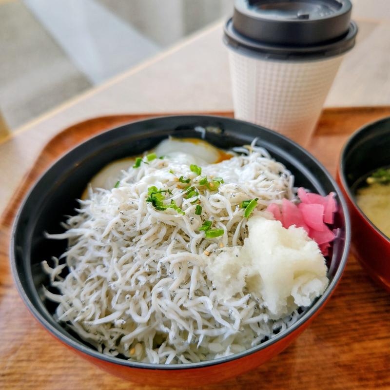 しらす飯(cafeとびっちょ 江の島ヨットハーバー店)