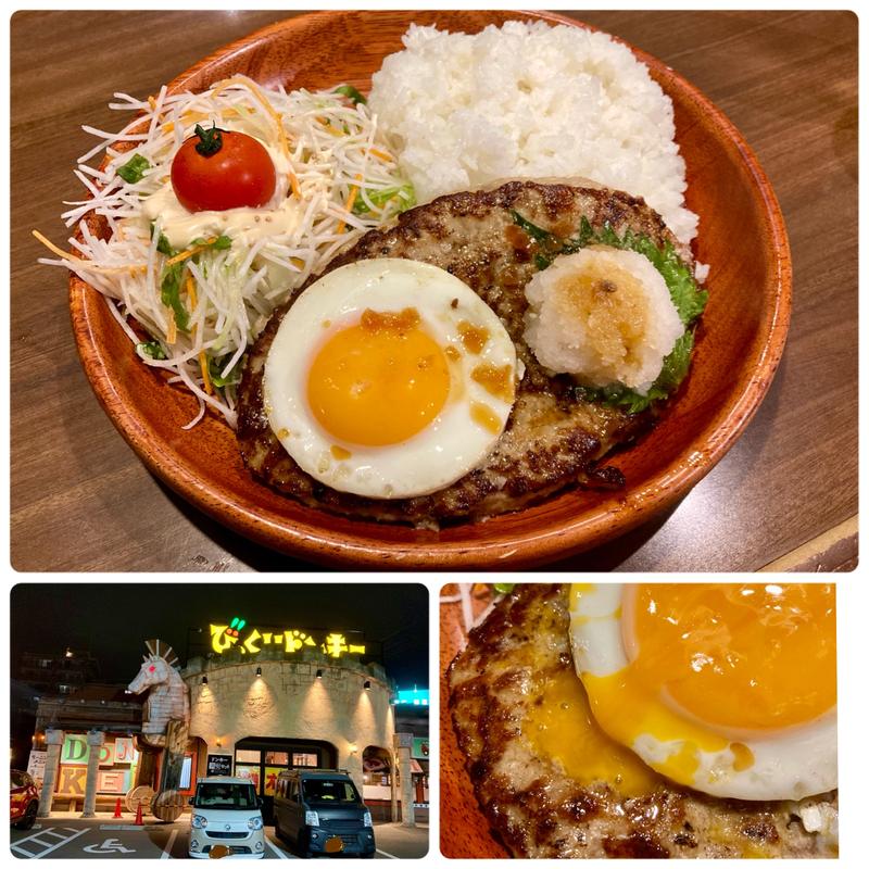おろしそバーグディッシュL（ご飯大盛り、エッグ）(びっくりドンキー 草津店)