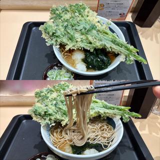 春菊天おろしそば(しぶそば 長津田店)