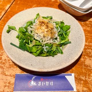 芹と葱、しらすのサラダ(和光 日本酒バル まいかけ)