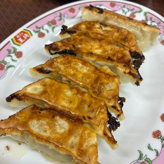 餃子(餃子の王将 草津駅前店 (ギョウザノオウショウ))