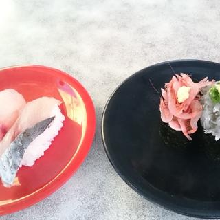 生シラス 桜海老 アジ