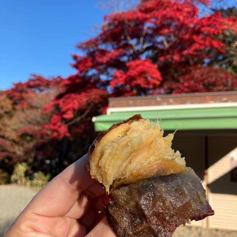 焼き芋(百草園 松連庵 （しょうれんあん）)