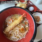 白えび飯と氷見うどん（海老天）