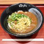 カレーうどん(小)(はなまるうどん ユアエルム青戸店

)