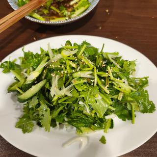 老虎菜ラオフーツァイ