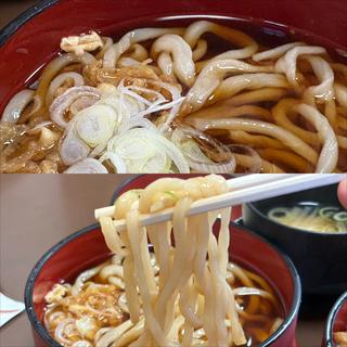 温うどん(宮路)