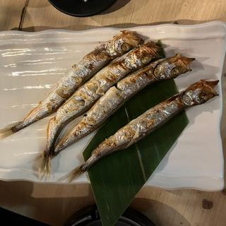 ＜ノルウェー＞樺太ししゃも(海鮮炉端 魚友 赤羽本店)