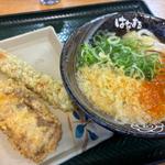 本日の三品(はなまるうどん 滋賀東草津店 )