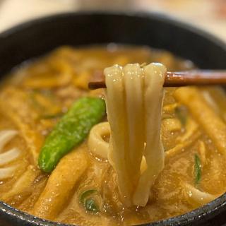 肉カレーうどん( 僕とうどんとカツオだし あべのキューズモール店)