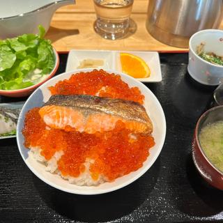 焼き鮭といくら丼定食(casual割烹 弓木野)