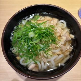 かしわうどん