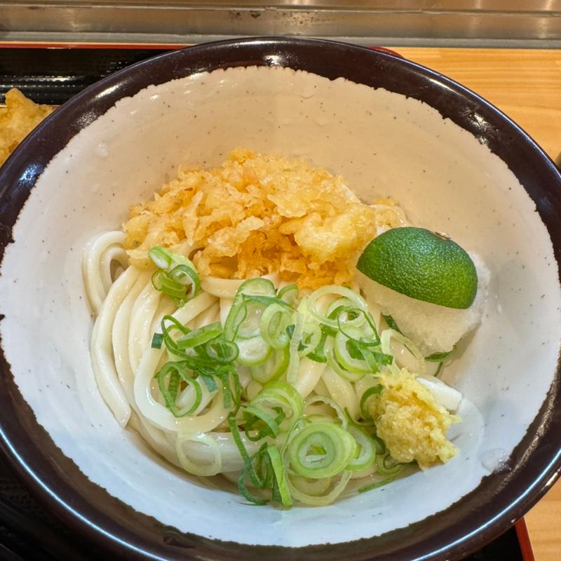 おろし醤油うどん(おにやんま エキュート上野)
