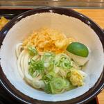 おろし醤油うどん