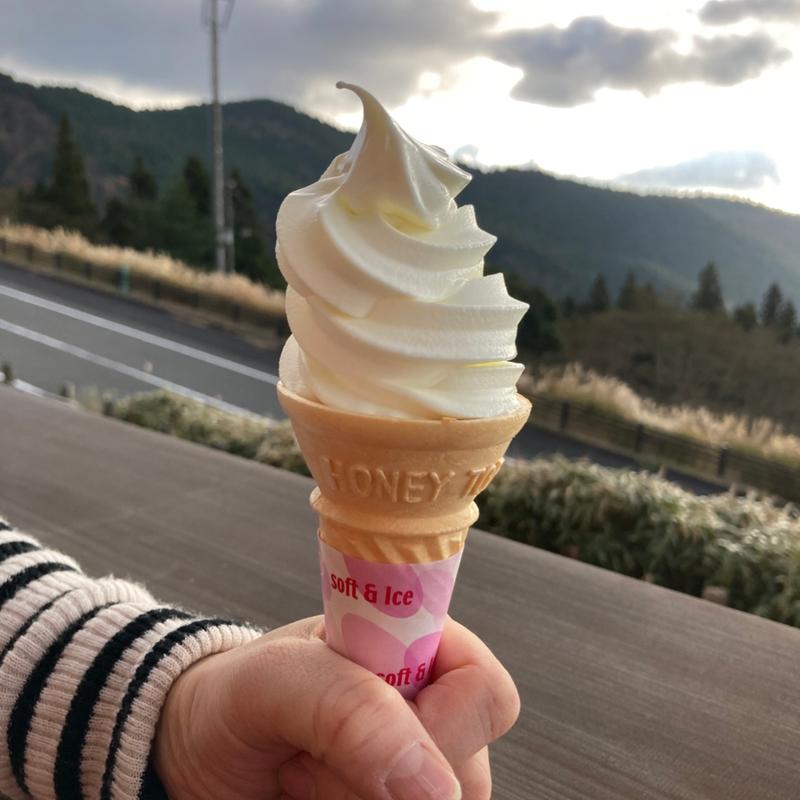 濃厚ソフトクリーム(牧場の家 )