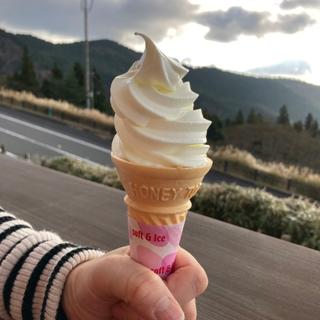 濃厚ソフトクリーム(牧場の家 )